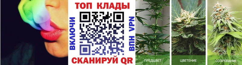 Купить закладку Галлюциногенные грибы  Меф мяу мяу  А ПВП  Марихуана  COCAIN  Нефтекумск
