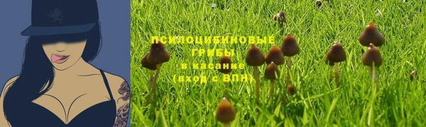 кокаин перу Гусь-Хрустальный