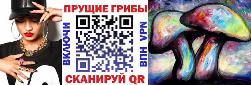 Купить закладки  Нефтекумск  Псилоцибиновые грибы Psilocybine cubensis 