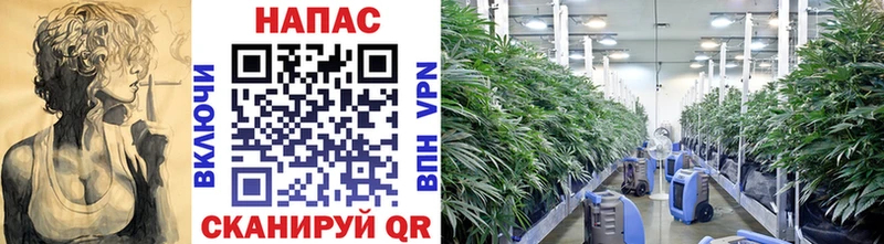 Каннабис Ganja  Купить  Нефтекумск 